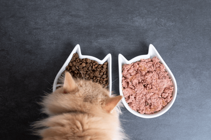 Bulk Wet Cat Food